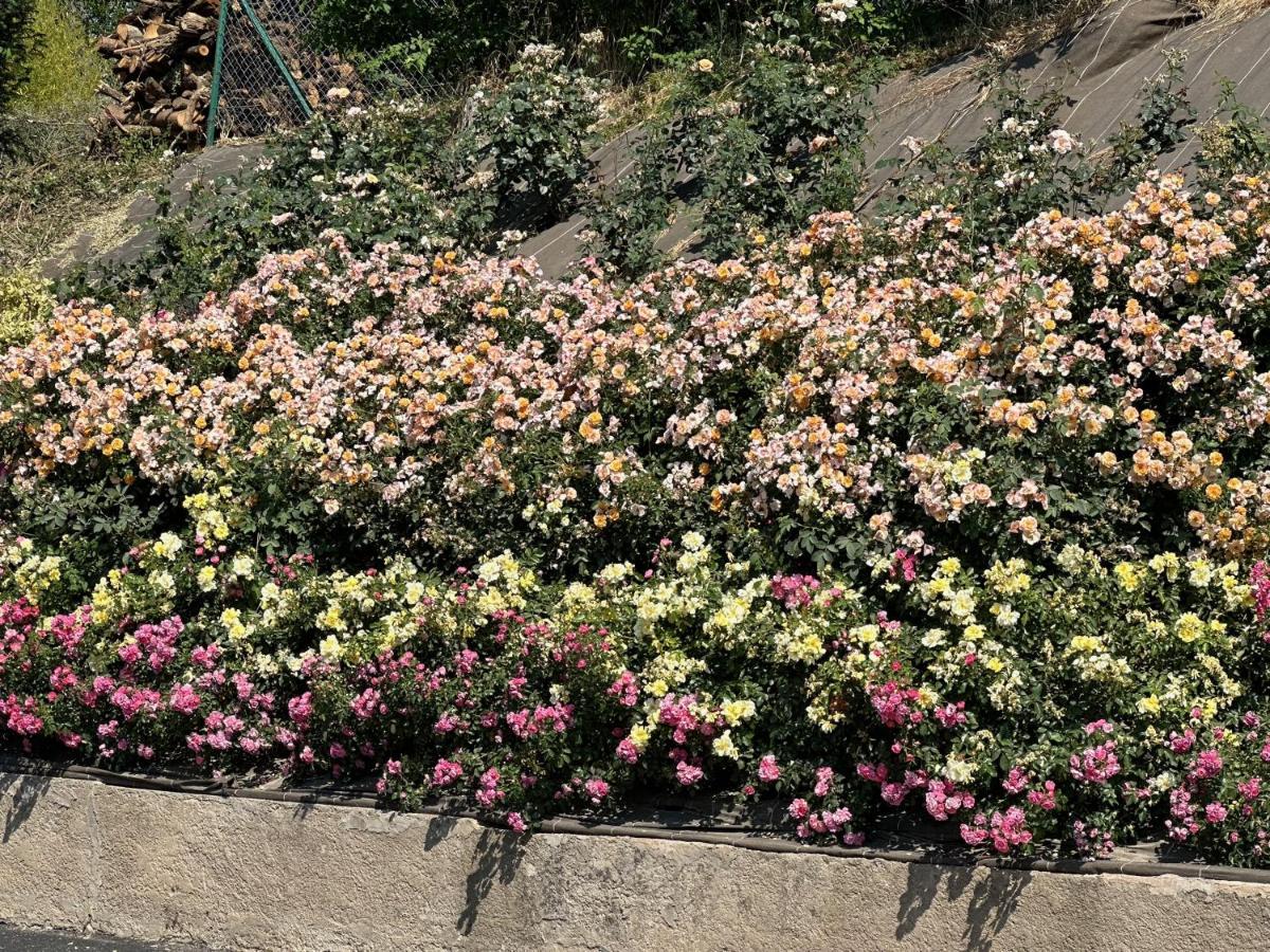 GunstettAu Parfum Des Roses公寓 外观 照片